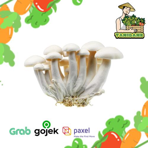 Jual JAMUR WHITE SHIMEJI MUSHROOM JAMUR SHIMEJI PUTIH 1 PACK 150 GR Jakarta Utara