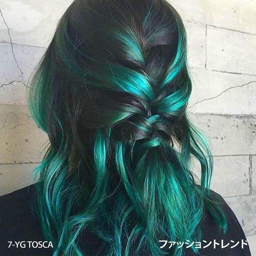 Jual ( RESTOCK ) CHAOBEN Tosca22 Japan Hair Color Cream Cat Pewarna