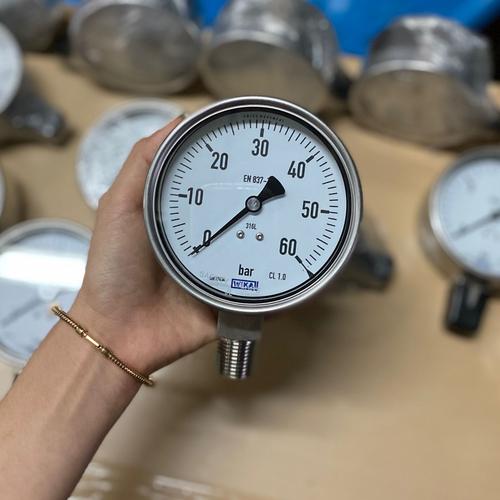 Jual WIKA PRESSURE GAUGE 232.50, 4 INCH, 1/2" NPT 0 TO 60 BAR
