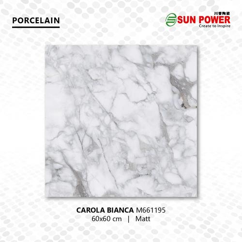 The HomeCentric Bianca 60x60 cm Art Silk Federa Guanciale, Cristalli, Perline Seta Federe, Moderno Natura e Fiori Coperture fittizie europee - Silver Willow