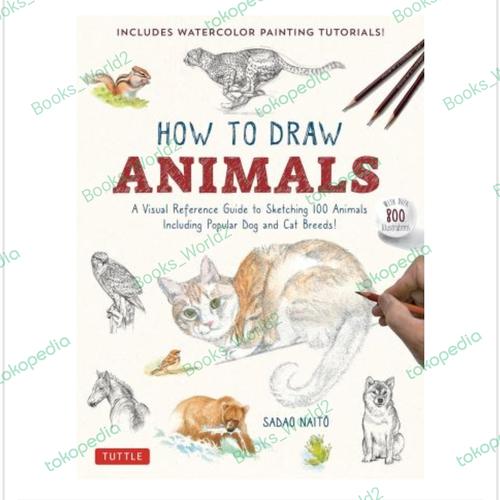 Jual Buku How to Draw Animals: A Visual Reference Guide to Sketching ...
