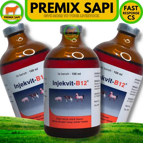 Jual INJEKVIT B12 100ml MEDION obat B12 untuk perbaiki kondisi tubuh