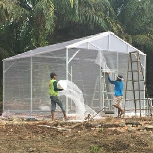 Jual Insect net (Insectnet) Waring putih mesh 50 rol 3 x 100 meter ...