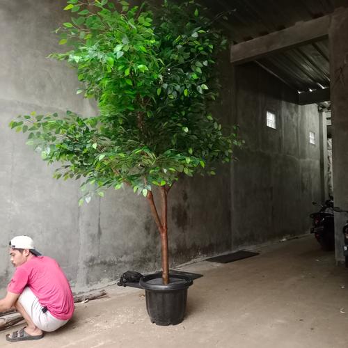 Jual Pohon Beringin Buatan Besar 3 Meter Tanaman Artificial Beringin