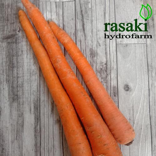 Jual wortel organik carrot organic 500 gr - Kota Bogor - Rasaki ...