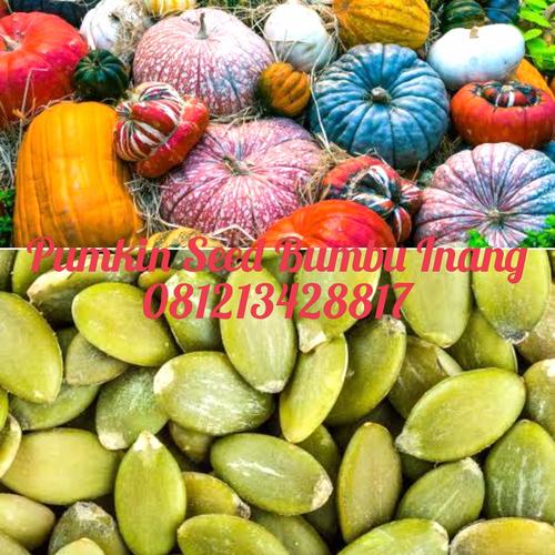 Labu In English Jual Raw Pumkin seed 250g/Biji labu kupas import - Jakarta Timur ...