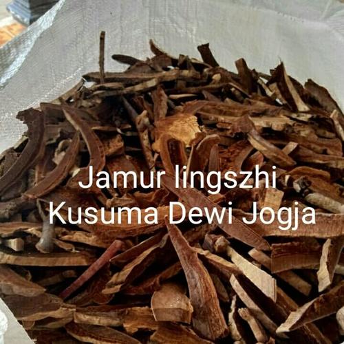 Jual Jamur Lingzhi Kering / Ganoderma Lucidium 500 gram Kota
