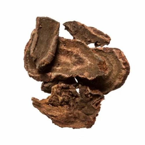 Jual 100 G GR GRAM DA HUANG RHUBARB ROOT RADIX ET RHIZOMA RHEI - 10 ...