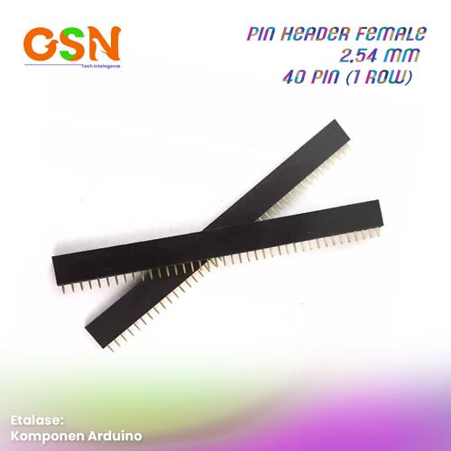 Jual Female pin header arduino - 1 x 40 pin - jarak 2,54 - Kab ...