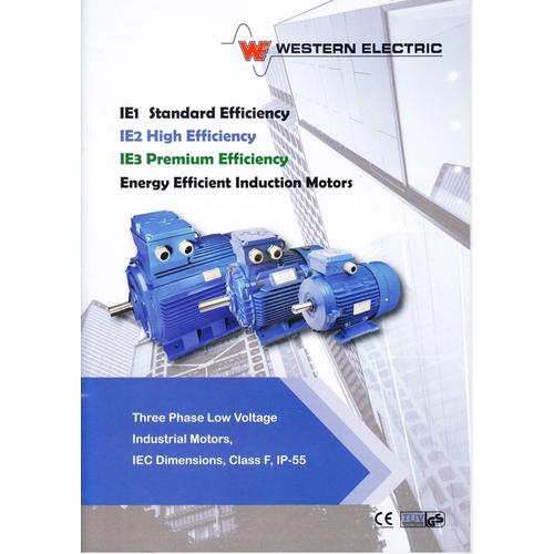 Jual western electric motor 1D160L2 Jakarta Pusat SENTRA TEKNIK