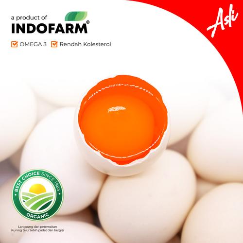 Jual Telur Ayam Kampung Asli (Omega) Box Polos Kota Tangerang