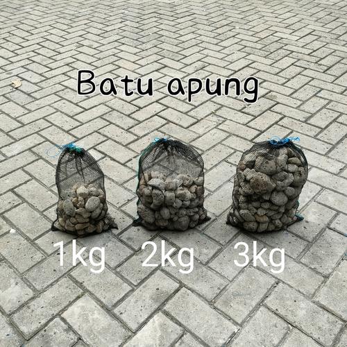 Jual media filter batu apung isi 1kg || 2kg || 3kg + waring - 1kg ...