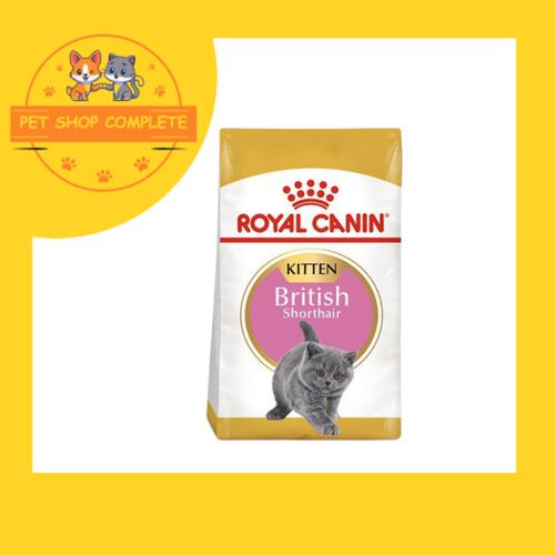 Pet Supplies Royal Canin Kitten British Shorthair 10kg Royal Canin