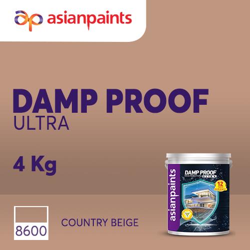 Jual ASIAN PAINTS DAMP PROOF ULTRA CAT ANTI BOCOR (COUNTRY BEIGE) 4