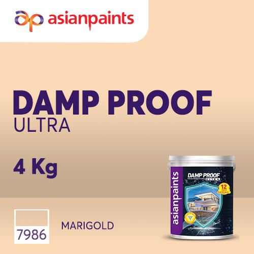 Jual ASIAN PAINTS CAT TEMBOK ANTI BOCOR DAMP PROOF ULTRA (MARIGOLD
