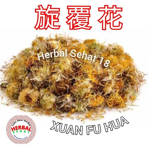 Jual Xuan Fu Hua 50gram / 旋覆花 Inula Flower - Inulae Flos - Jakarta ...