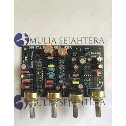 Jual Kit Digital Echo Repeater 4 Pot FULL MKM - Kota Surabaya - MULIA