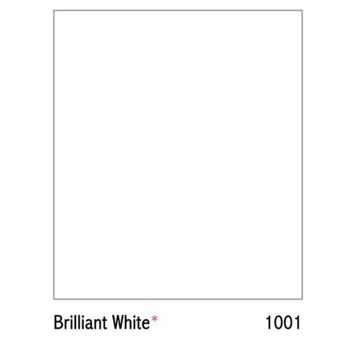 Jual CAT TEMBOK INTERIOR NIPPON PAINT WARNA 1001 BRILLIANT WHITE 20Kg