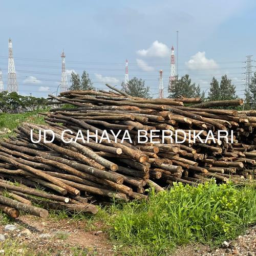 Jual KAYU DOLKEN PUSPA 8/10 X 400 DOLKEN PROYEK MURAH Jakarta Utara UD. CAHAYA BERDIKARI