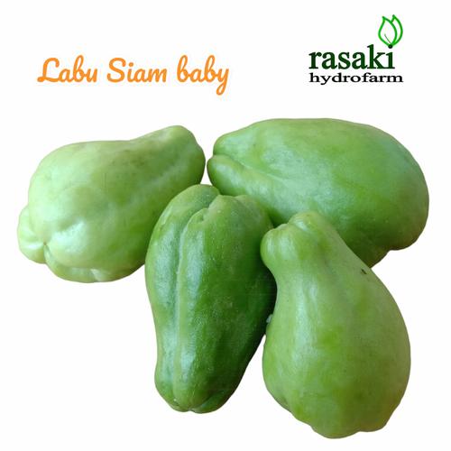 Jual sayur labu Siam baby kecil 500gr - 250gr - Kota Bogor - Rasaki ...