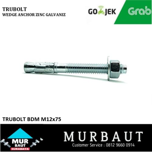 Jual DYNABOLT / DINABOL / TRUBOLT WEDGE ANCHOR M12x75 BDM Kota