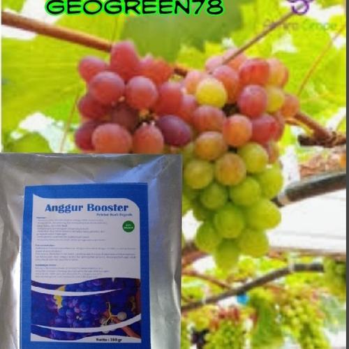 Anggur Rontok Jual pupuk boster anggur pelebat buah anggur anti rontok 250grm ...