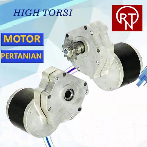 Jual Dinamo Motor High Torsi 350W dengan Lubang Hexagonal (8021) - DC ...