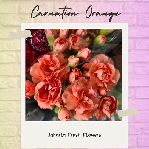 Jual Bunga Carnation/Anyelir (Bunga Segar Jakarta) - Merah - Jakarta ...