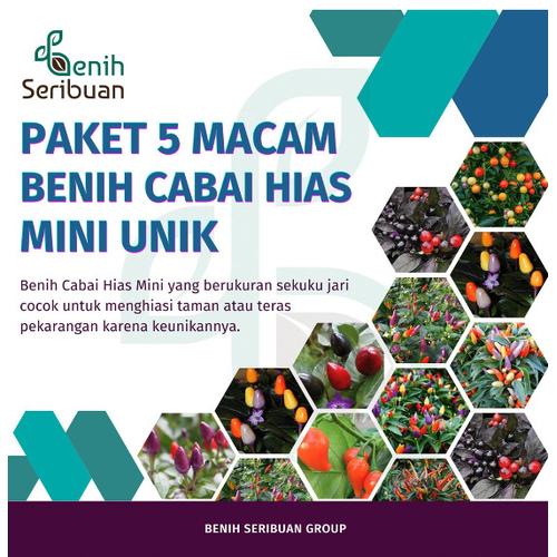 Promo Bibit Cabe Mini Paket 5 Macam Benih Sayuran Cabai Hias Mungil ...