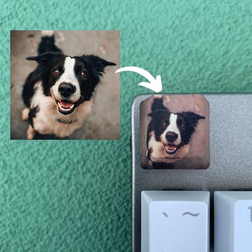 Jual Custom Keycaps Mechanical Keyboard all normal Row - XDA - Kab ...