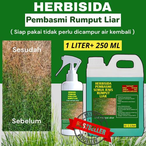 Jual Pembasmi Rumput Liar Basmi Sampai Akar beli 1 liter gratis 250 ml ...