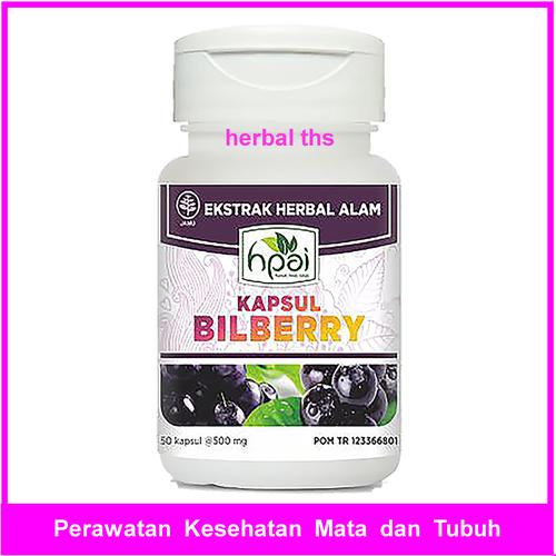 Jual bilberry hni hpai bilberi herbal kapsul untuk perawatan kesehatan