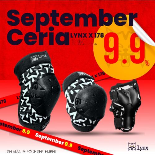 Jual Protector Set LYNX X178 Deker Skateboard Sepeda Sepatu Roda