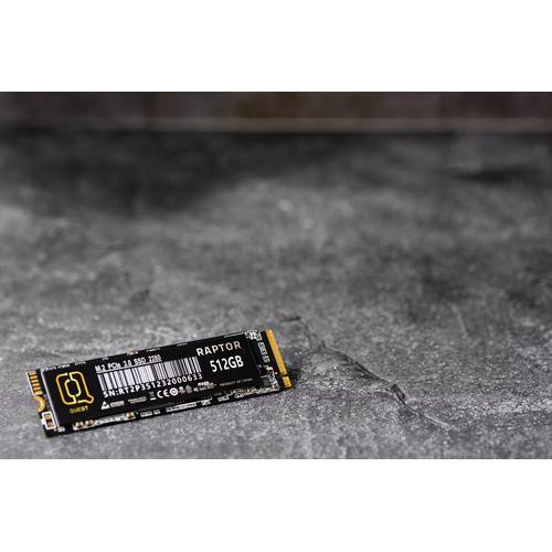 Jual MCQuest Digital RAPTOR SSD 256GB 512GB 1TB -M.2 2280 NVMe PCIe ...