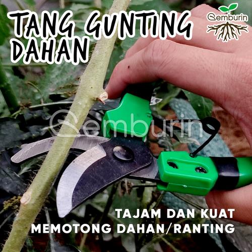 Jual Tang Gunting Dahan Ranting Tanaman / Bunga Bengkok / Bonsai / Stek ...