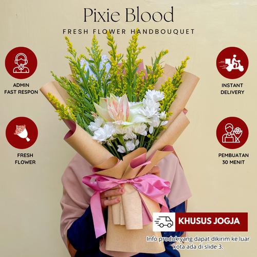 Jual Hand Buket Bunga Segar Asli Flowers Ultah Jogja Pixie Blood Kota