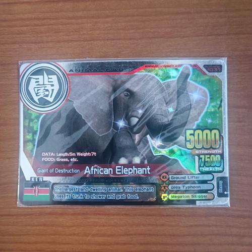Jual Kartu Animal Kaiser African Elephant Kota Surabaya IchiNiStuff 