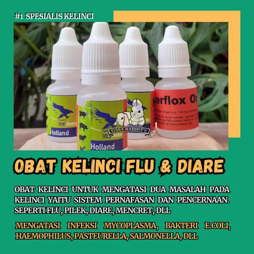 obat kelinci mencret