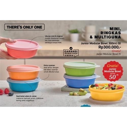 Jual Tupperware Tempat makan Anak Perlengkapan MPASI Bayi 1pc