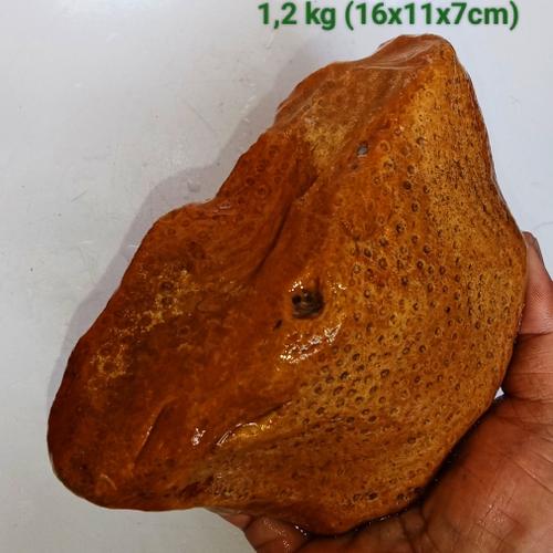 Batu Fosil Sarang Tawon Lebah Madu Kristal 566