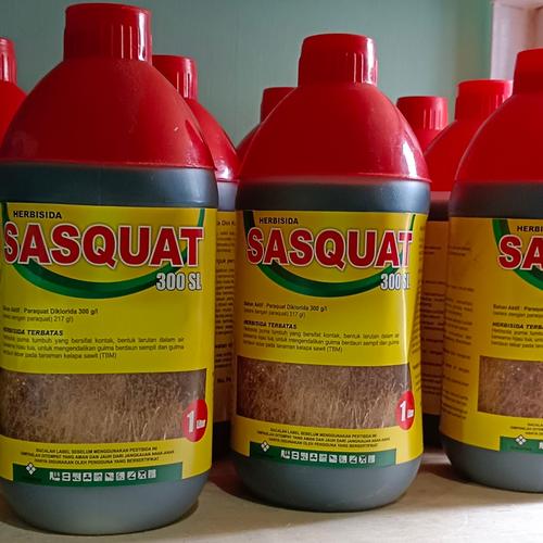 Jual Herbisida Sasquat 1L Herbisida 300SL - Kab. Kediri - 11Pin_Tani ...