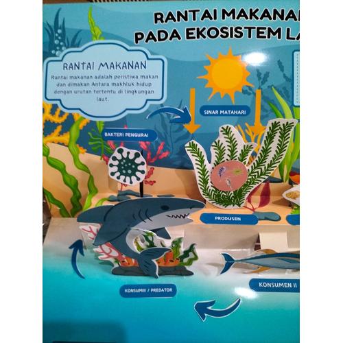 Jual buku pop up book rantai makanan ekosistem laut / prakarya DIY