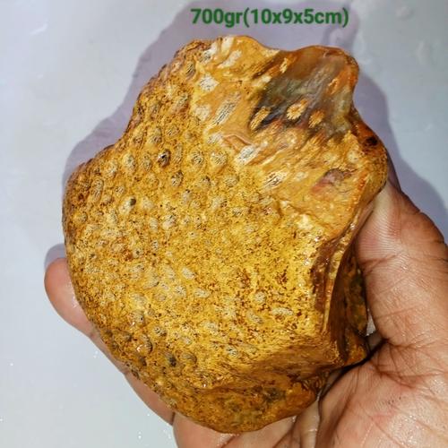 Batu Fosil Sarang Tawon Lebah Madu Kristal 568