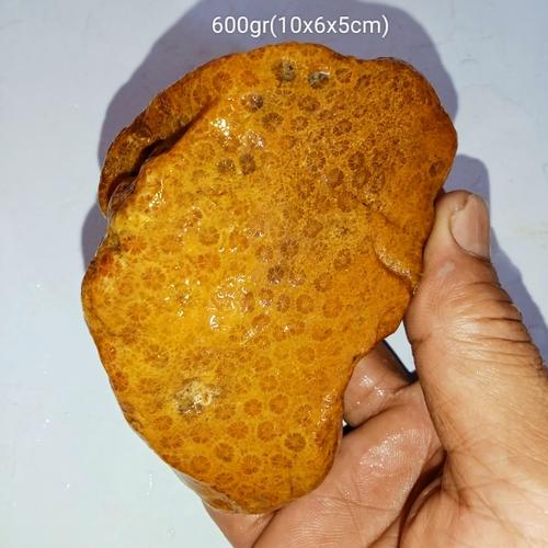 Batu Fosil Sarang Tawon Lebah Full Kristal 878