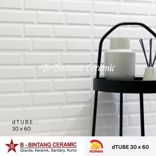 Jual Roman Keramik Dtube 30x60 Dinding Dapur Jakarta Barat B