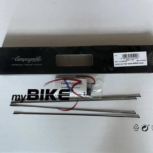 Clé à Rayons Carrée Campagnolo Bora – Outil Vélo Acier (Modèle CPS95, Neuf)