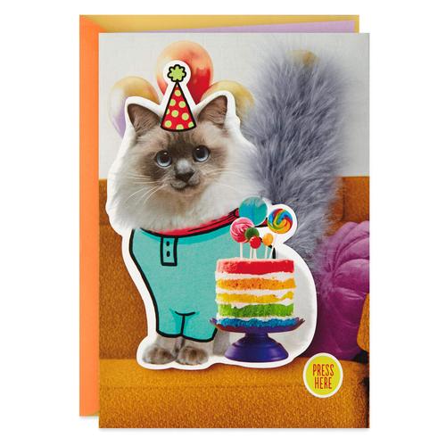 Jual GREETING CARD HALLMARK BIRTHDAY PARTY CAT MUSICAL WITH MOTION Jakarta Utara