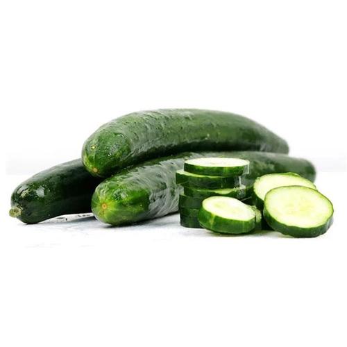 Jual Buah Timun Jepang/Kyuri/Japanese Cucumber 500gr - Jakarta Pusat ...