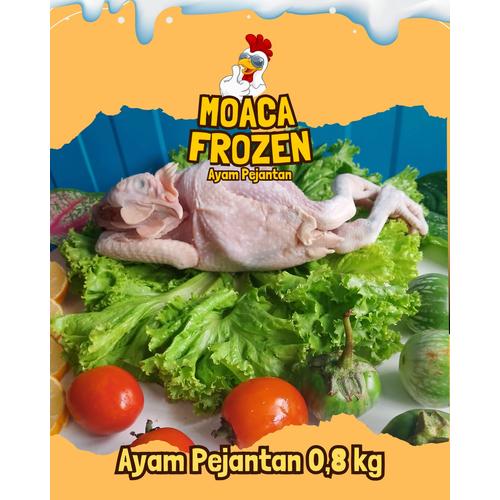 Jual Ayam Pejantan Utuh 0,8 kg/ Ayam Kampung/ Ayam Pejantan/Pejantan ...