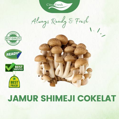 Jual Jamur Shimeji Cokelat 1 pack Citra fresh Jakarta Barat Citra